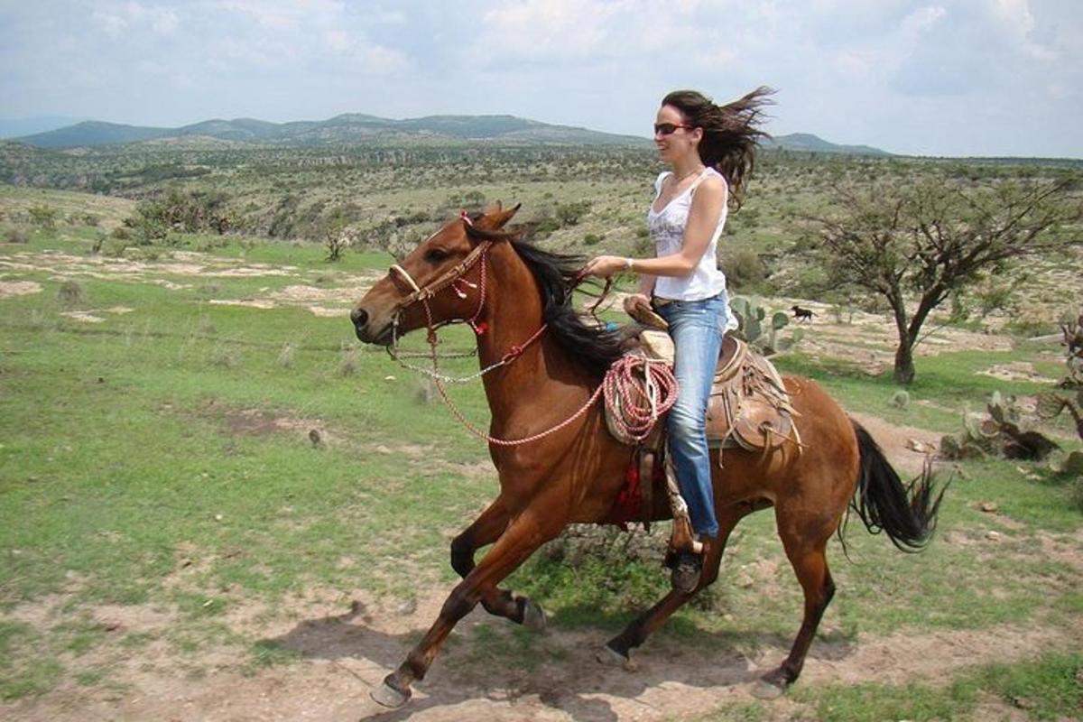 una dona muntant a cavall en un camp