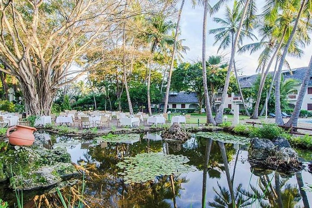 ein Garten mit Stühlen und einem Teich mit Seerosen