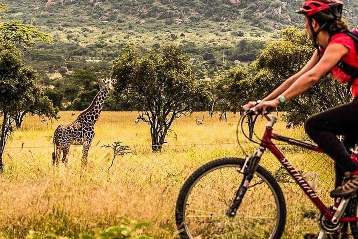 a woman on a bike looking at a giraffe in a field