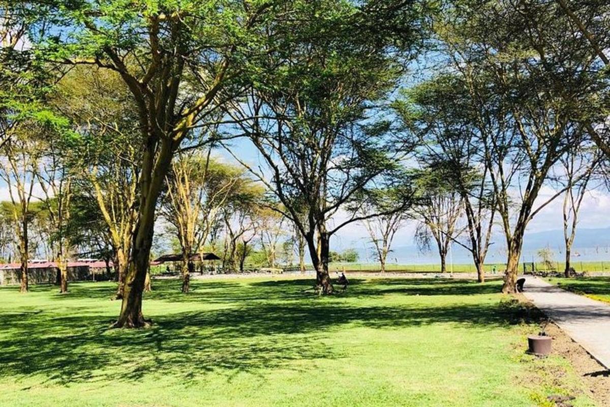a park with green grass and trees and a sidewalk