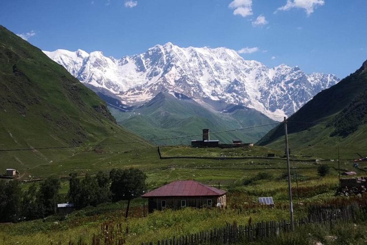 una casa in un campo con una montagna coperta di neve