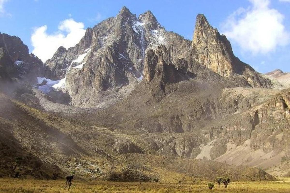 una catena montuosa con animali di fronte