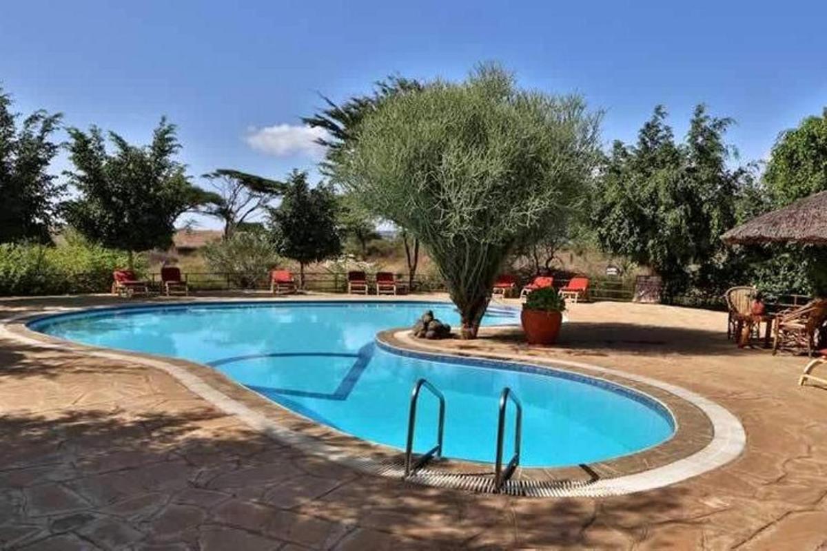 a swimming pool in a yard with a tree