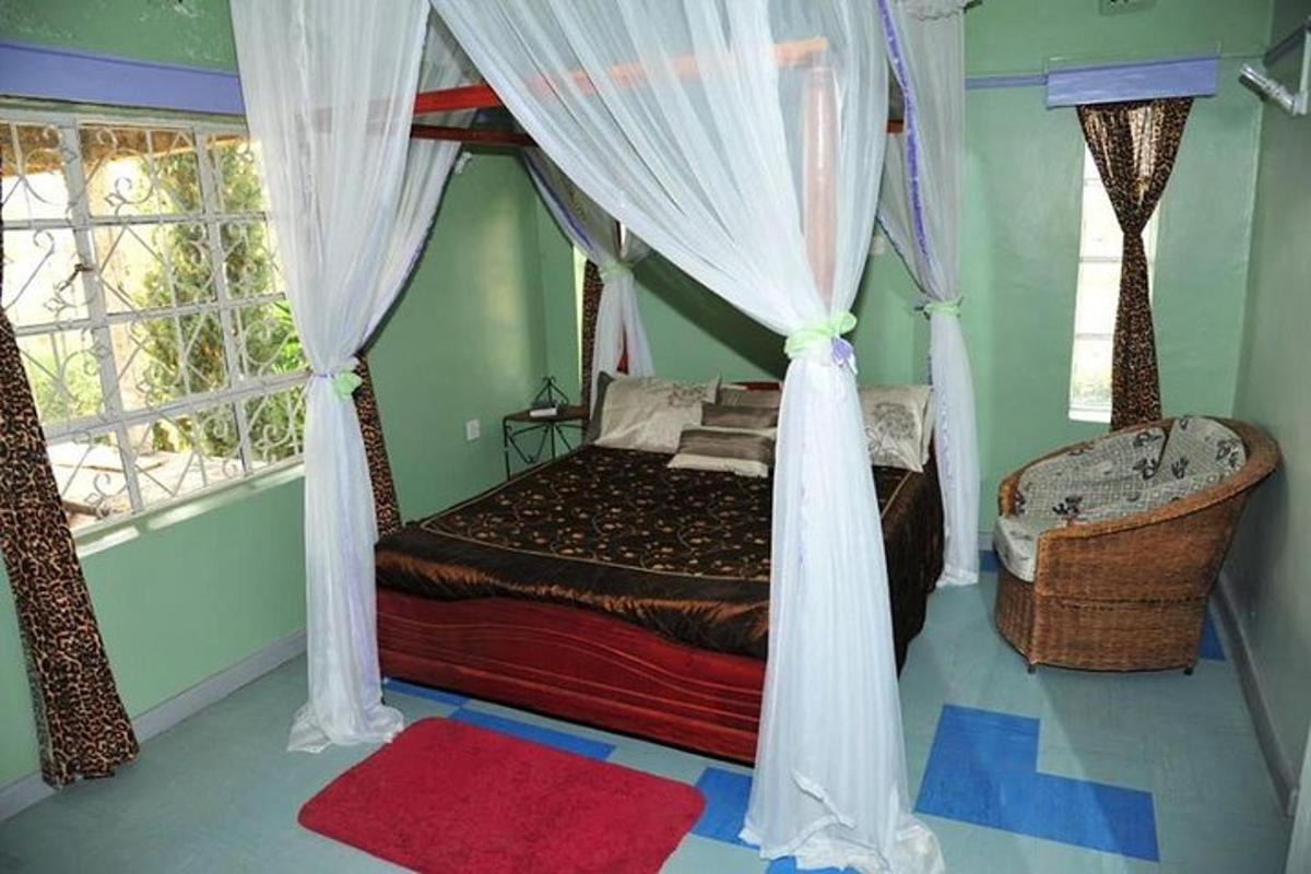 spalnica s posteljo z baldahinom in oknom