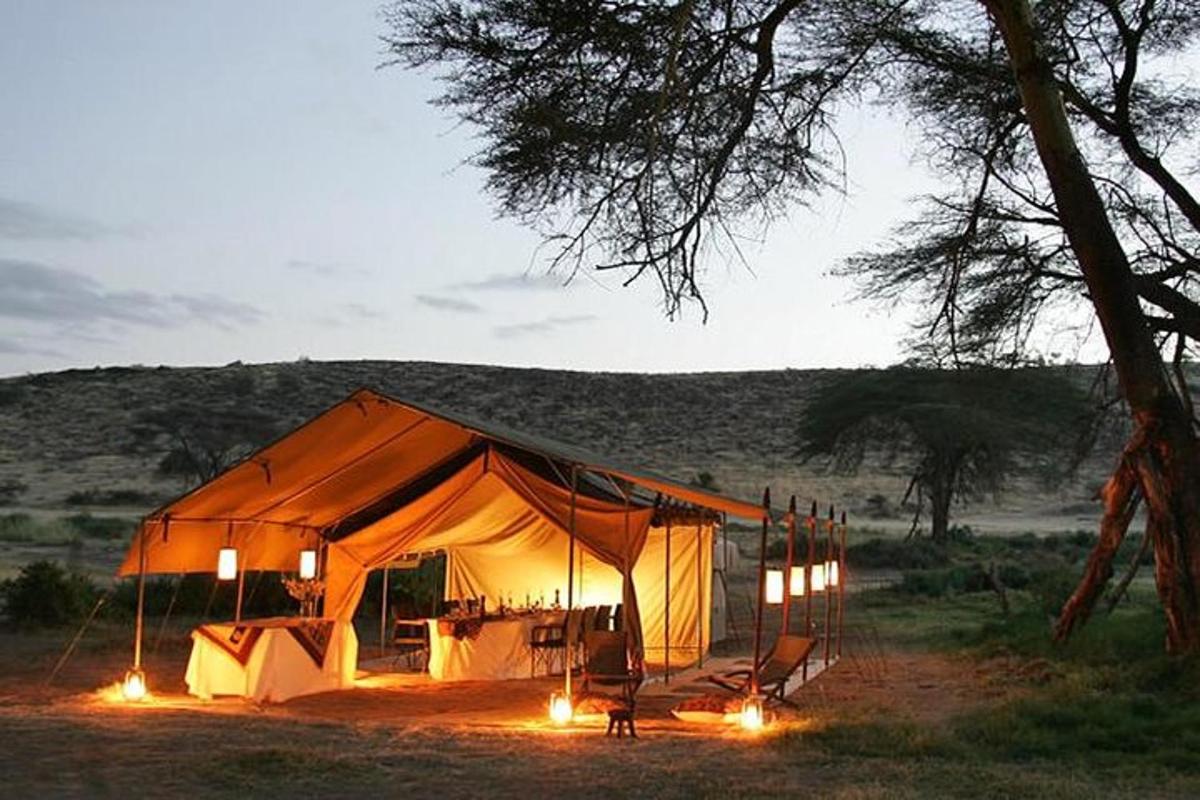 una grande tenda con luci in un campo