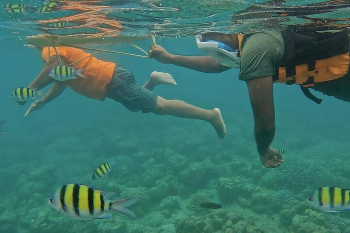 two people swimming in the water with fish