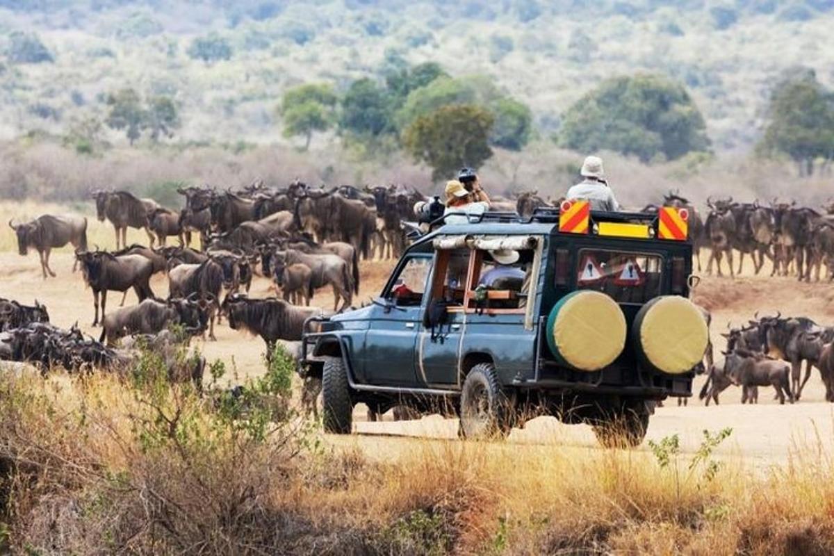 un grupo de personas en un jeep con una manada de animales