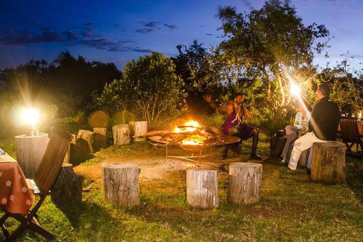 skupina lidí sedících v noci kolem táboráku
