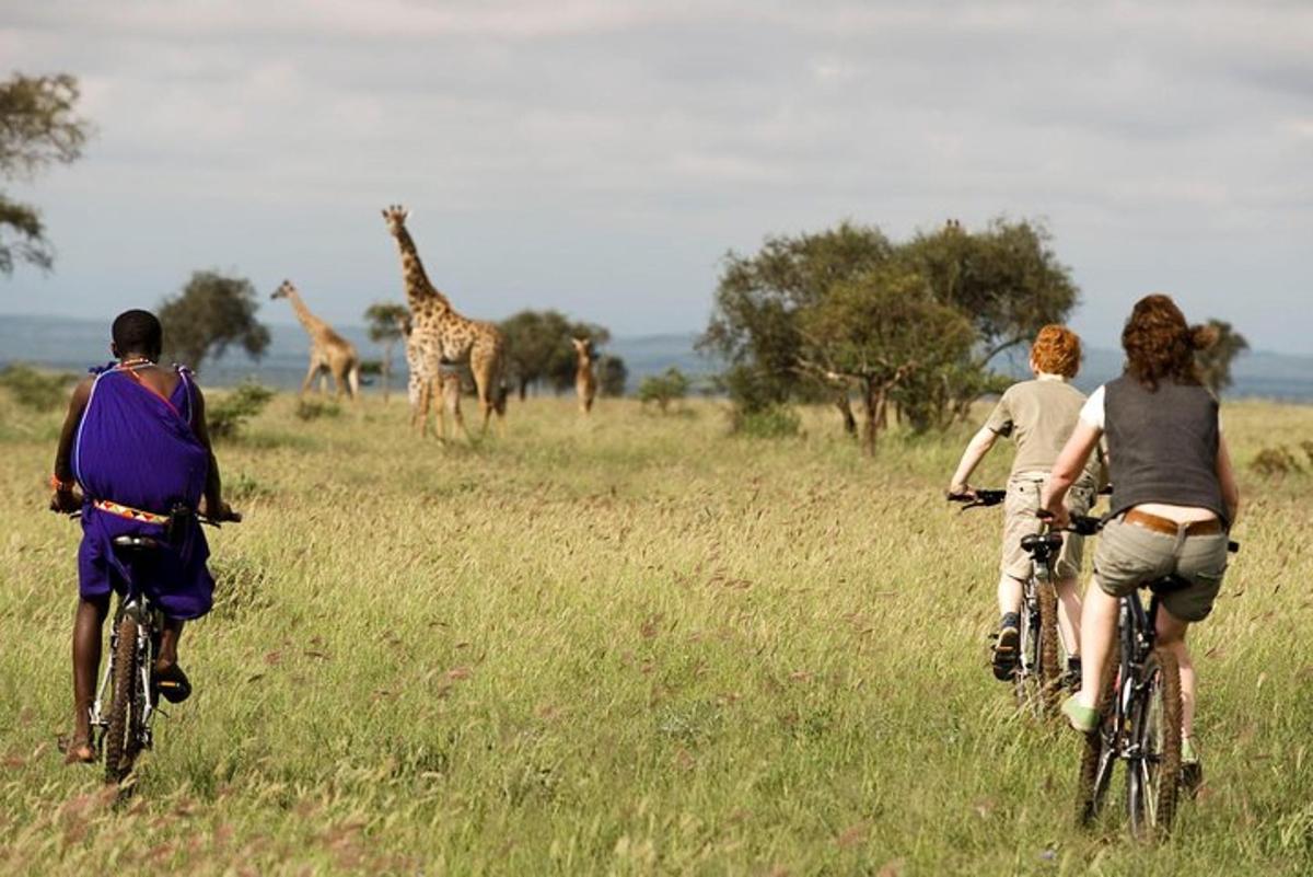 three people riding bikes in a field with giraffes