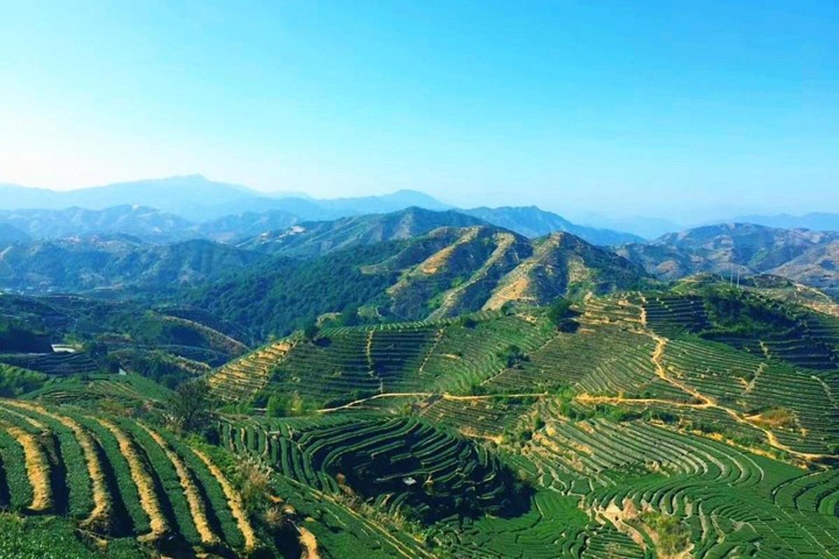 pemandangan udara lembah pegunungan dengan tanaman