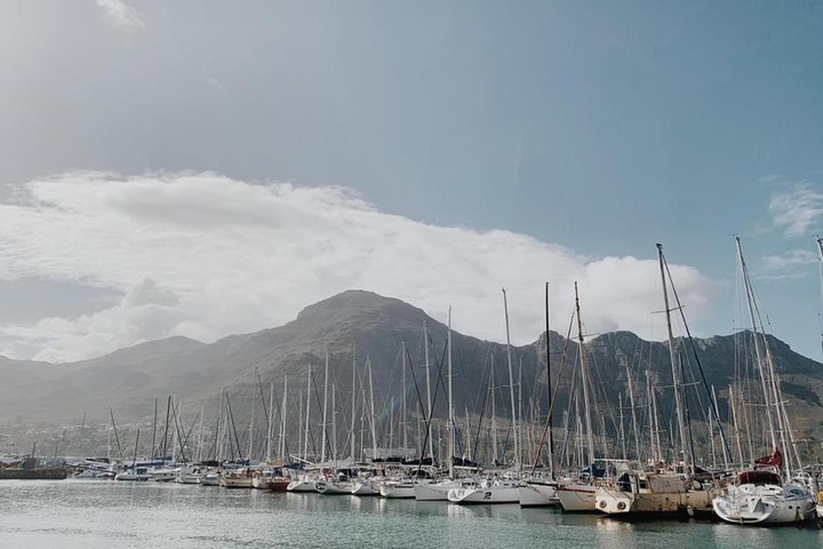 a bunch of boats are docked in a harbor