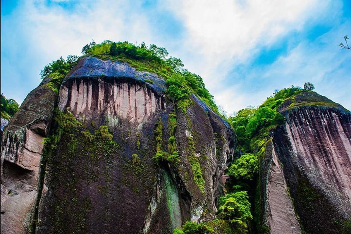 two large rocks with trees on top of them