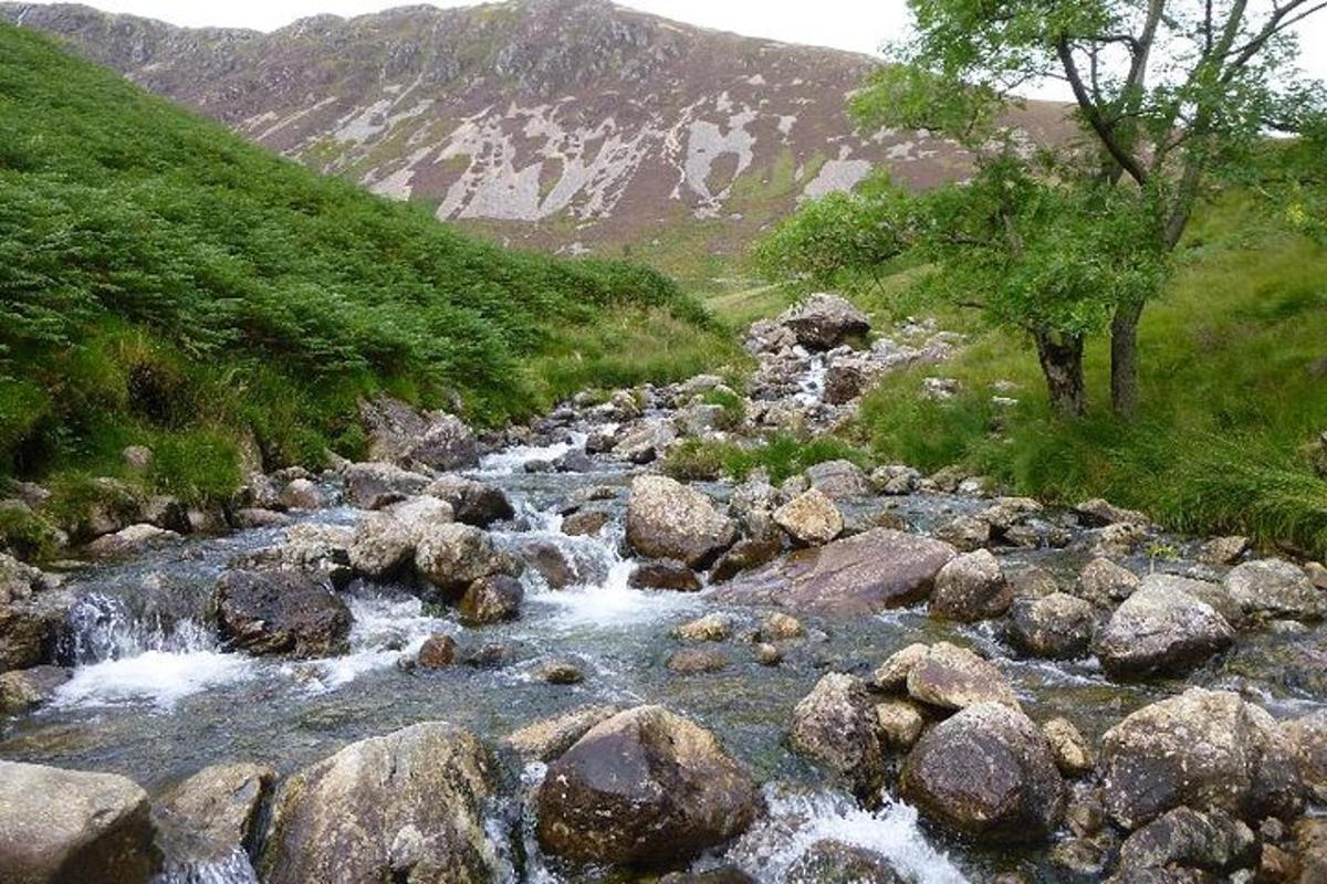 um riacho de água com pedras e uma montanha
