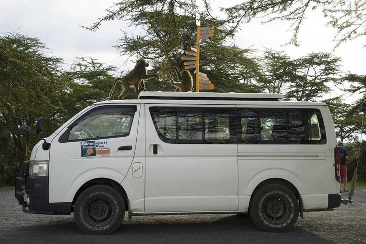 a dog sitting on top of a white van