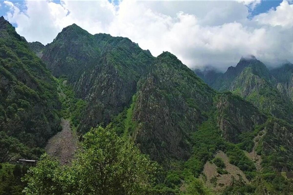 pemandangan gunung dengan pokok di atasnya