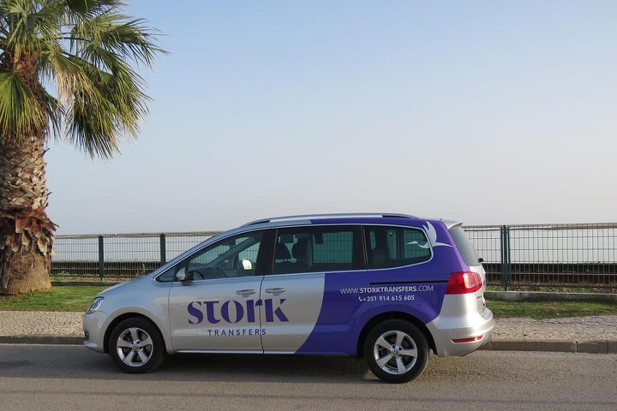 modrobiele auto zaparkované vedľa palmy