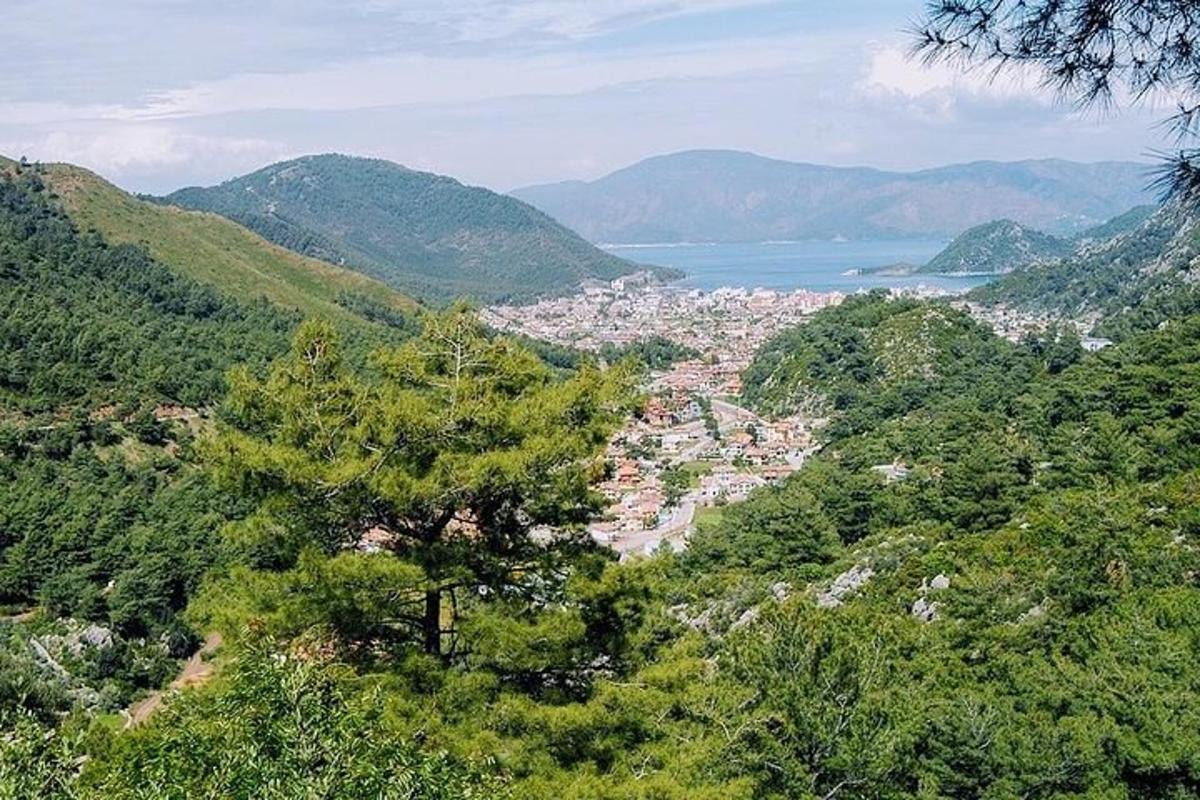 pemandangan kota dari atas bukit dengan pepohonan