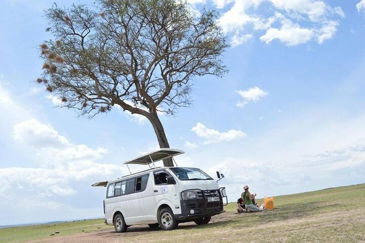 a white van parked in a field next to a tree
