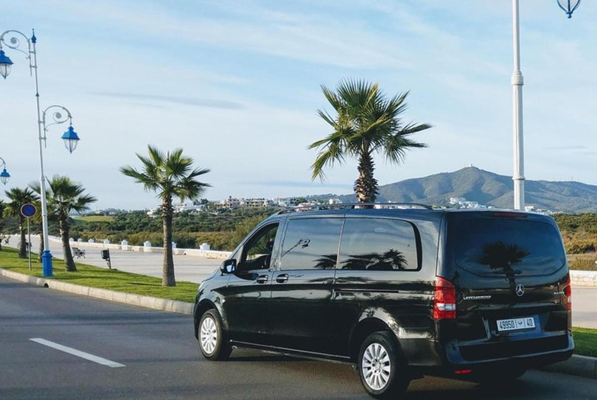 un furgone nero che percorre una strada con una palma