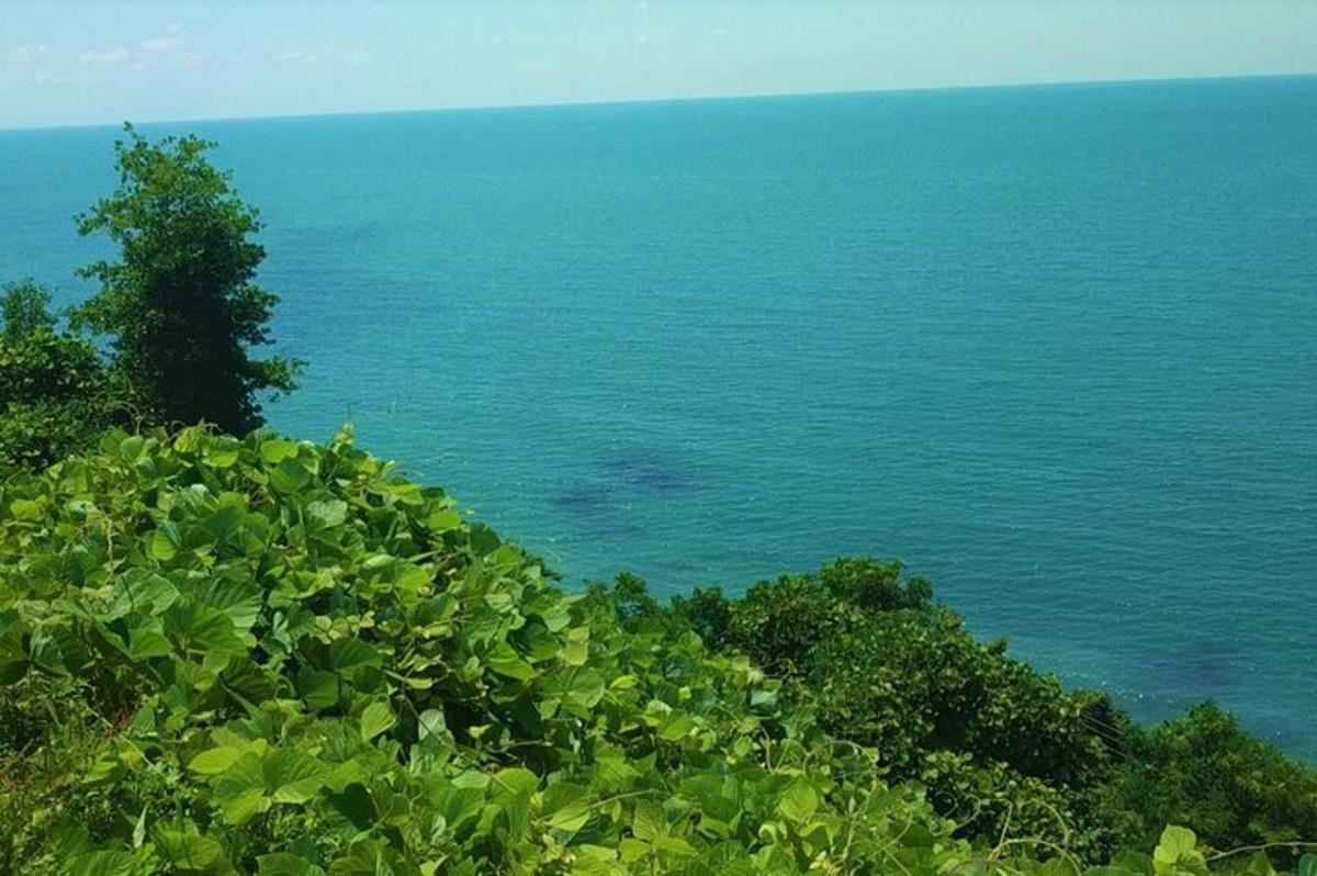a view of the ocean from the top of a hill