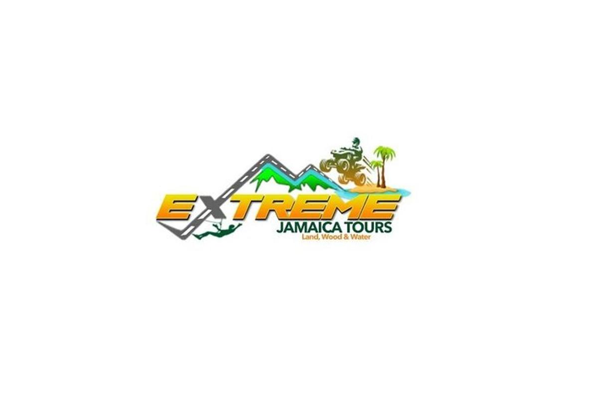 en logo for en ananas-turné