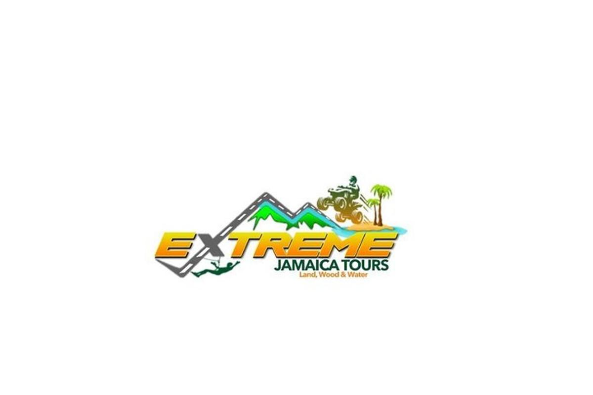 logo cho một tour du lịch dứa