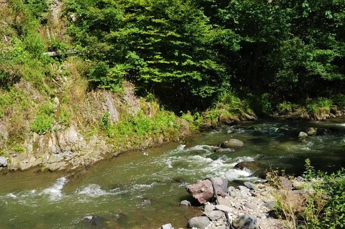 Un río con rocas y árboles al costado.