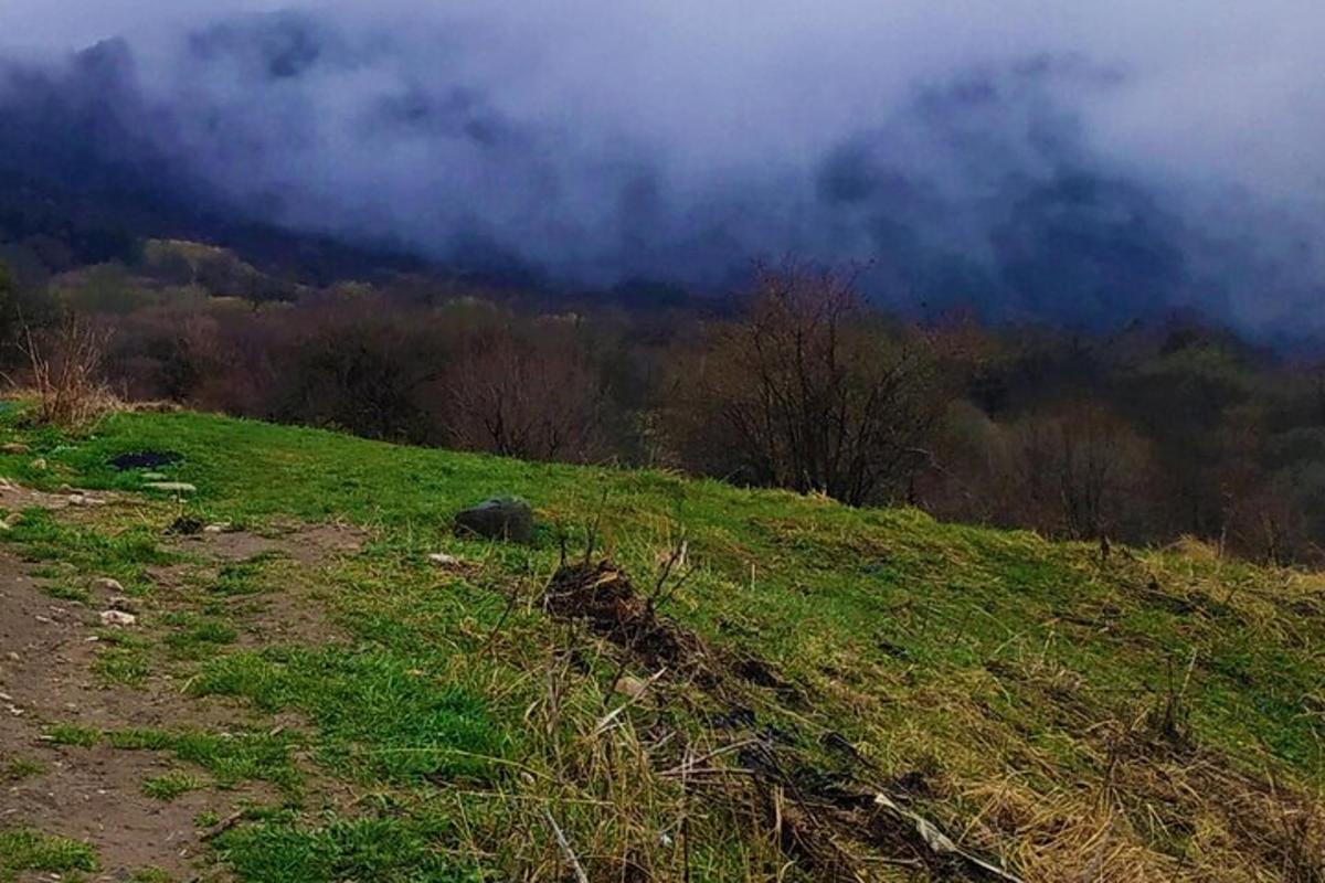bukit berumput dengan pepohonan dan awan di latar belakang