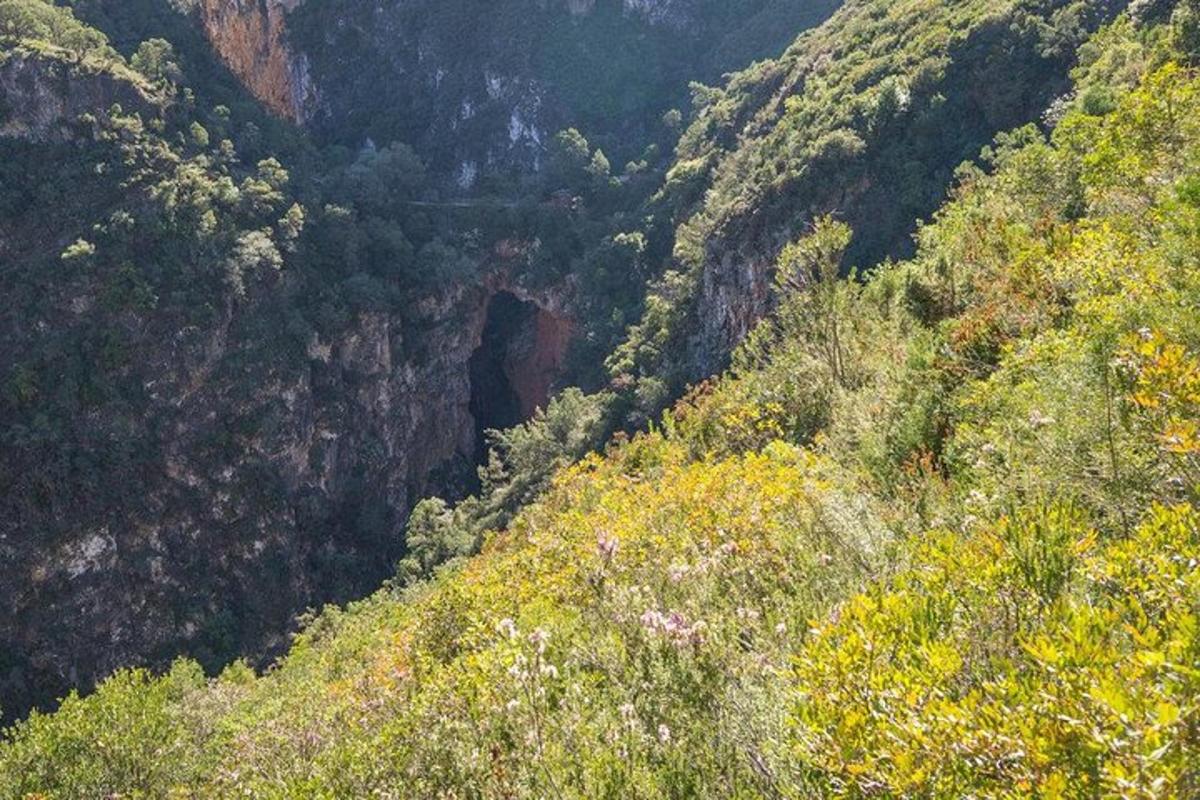 une vue d'une montagne avec un tunnel à l'intérieur
