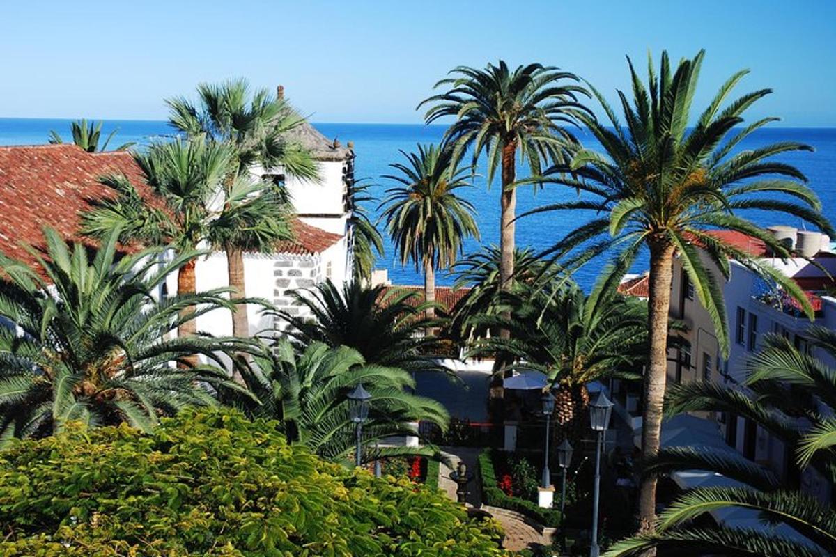 a group of palm trees in front of the ocean