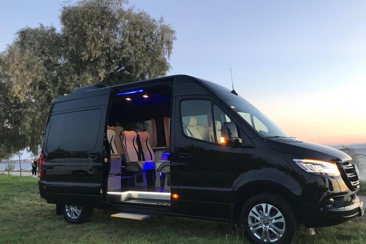 uma van preta está estacionada em um campo
