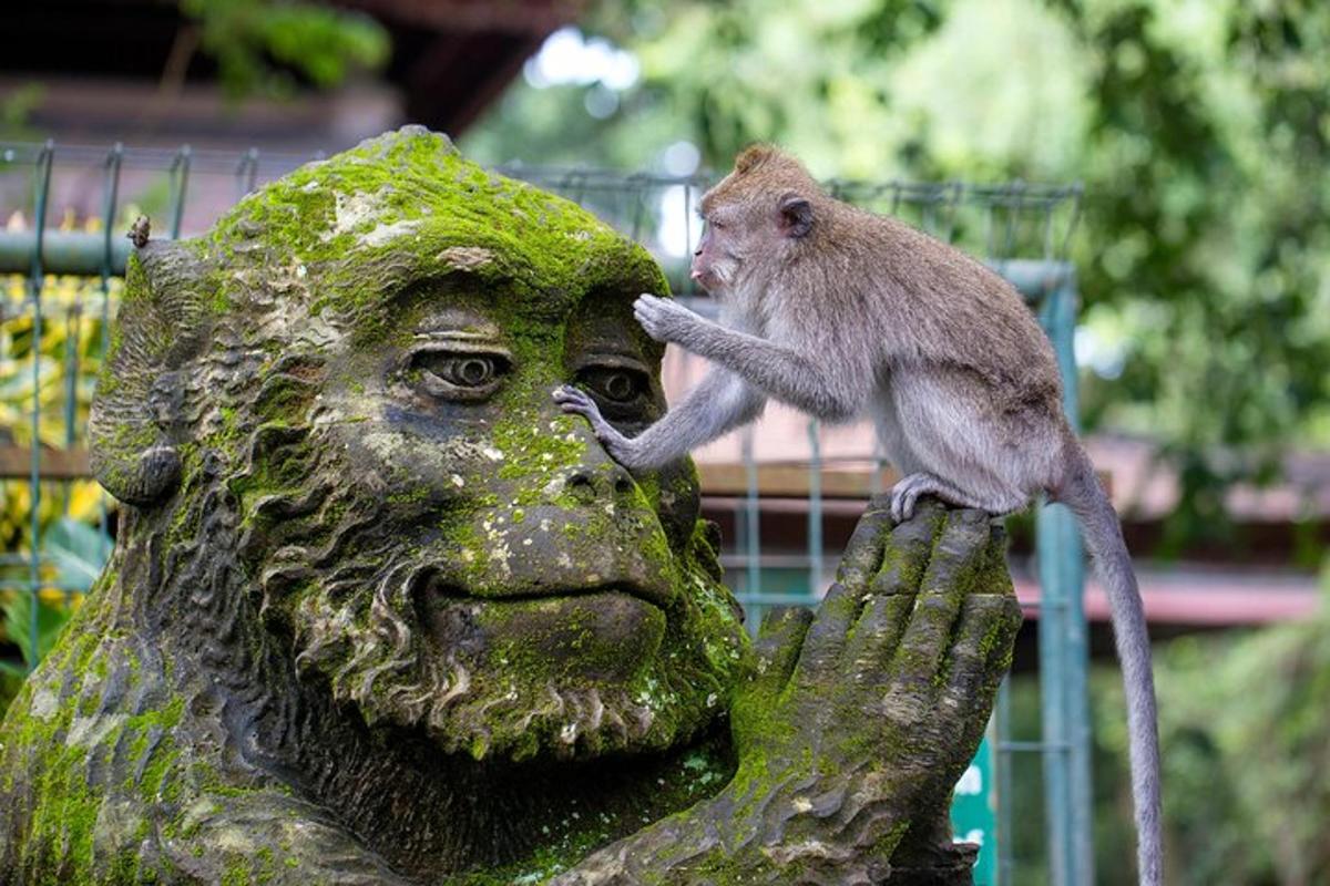 un mono sentado encima de una estatua