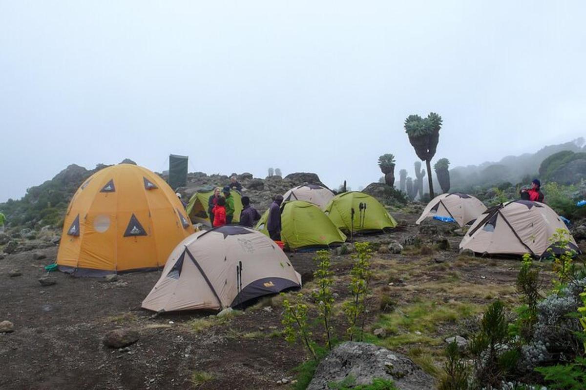 un gruppo di tende in cima a una montagna
