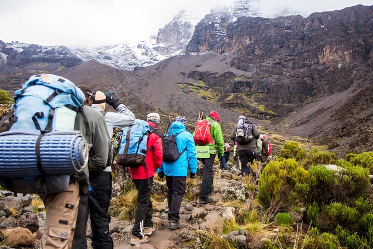 un gruppo di persone che camminano su un sentiero di montagna