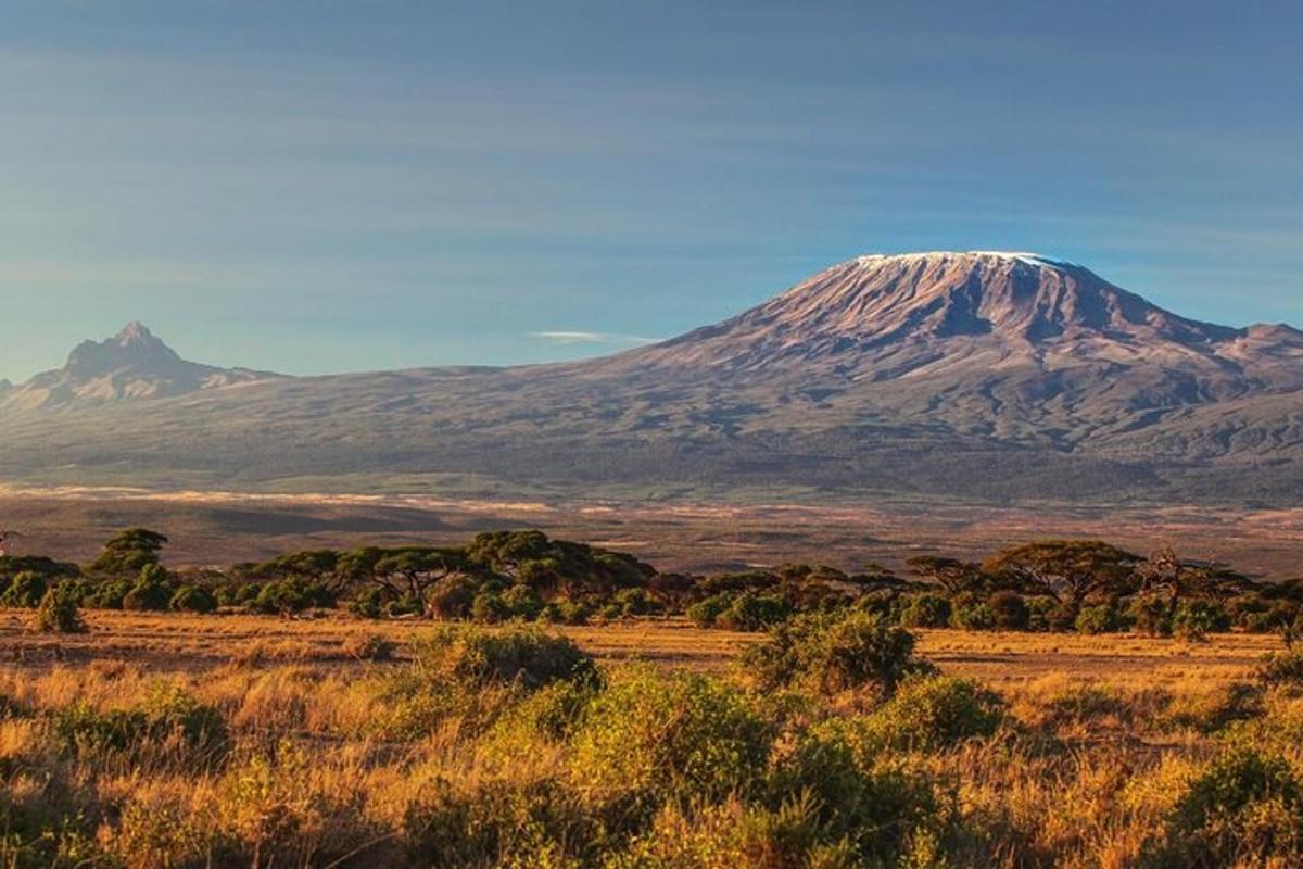 una montagna in mezzo a un campo con alberi