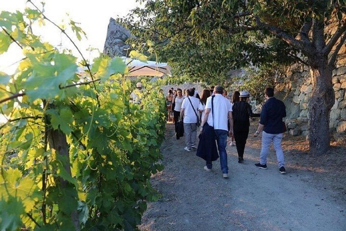 Un grupo de personas caminando por un sendero cerca de unos árboles.