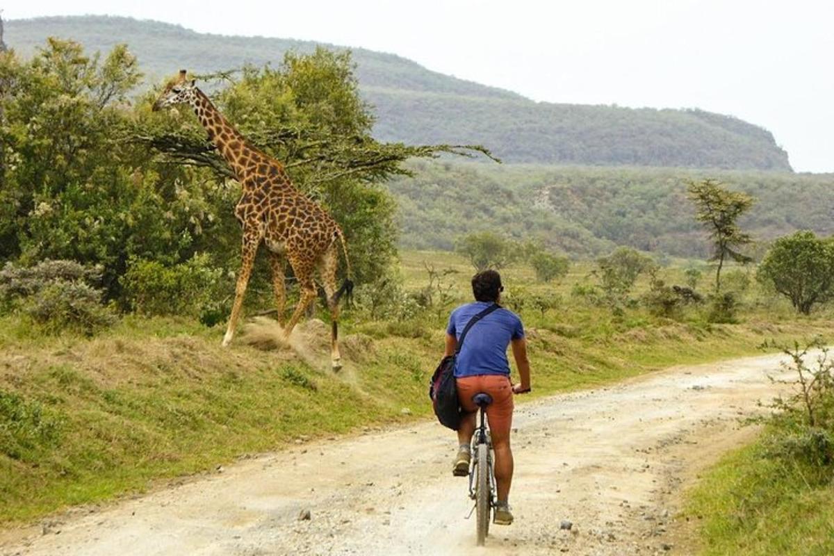o persoană care merge cu bicicleta pe un drum de pământ cu o girafă