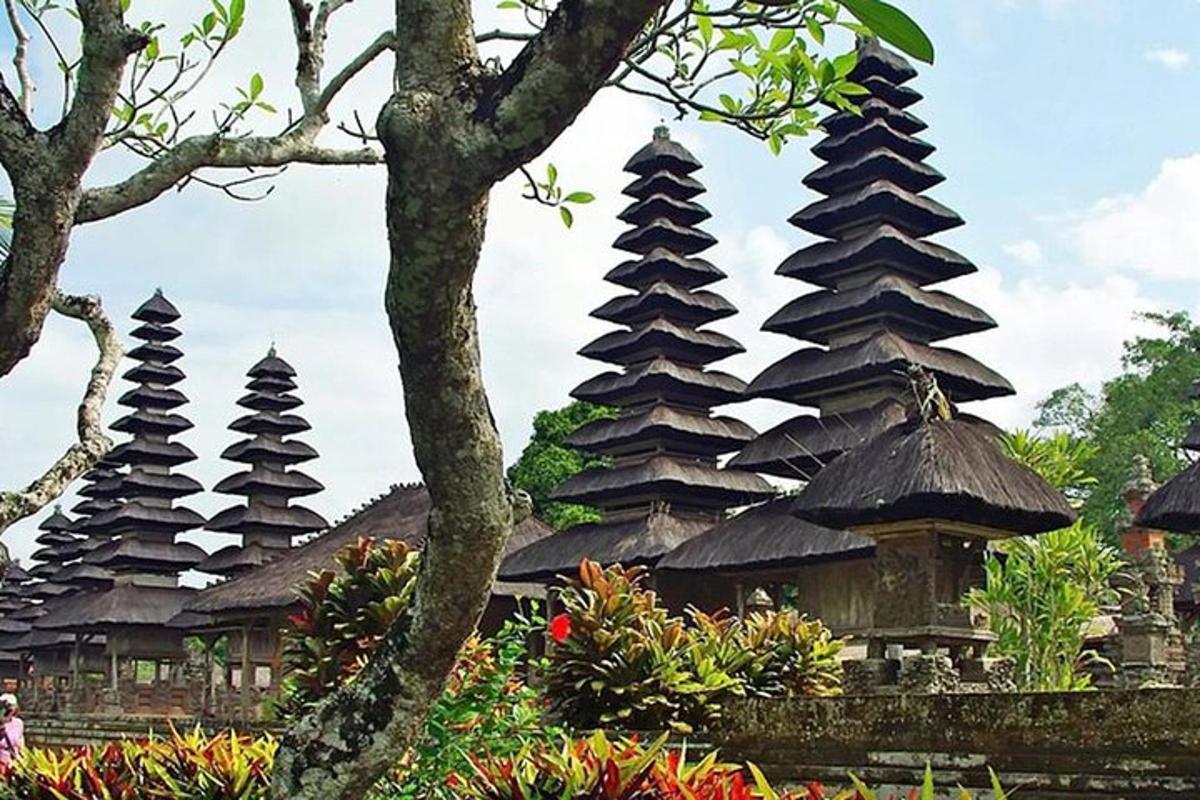 Un grupo de edificios de pagodas chinas en un jardín.