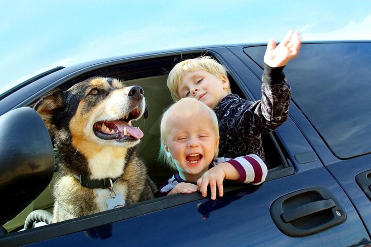kaks last ja koer istuvad autos