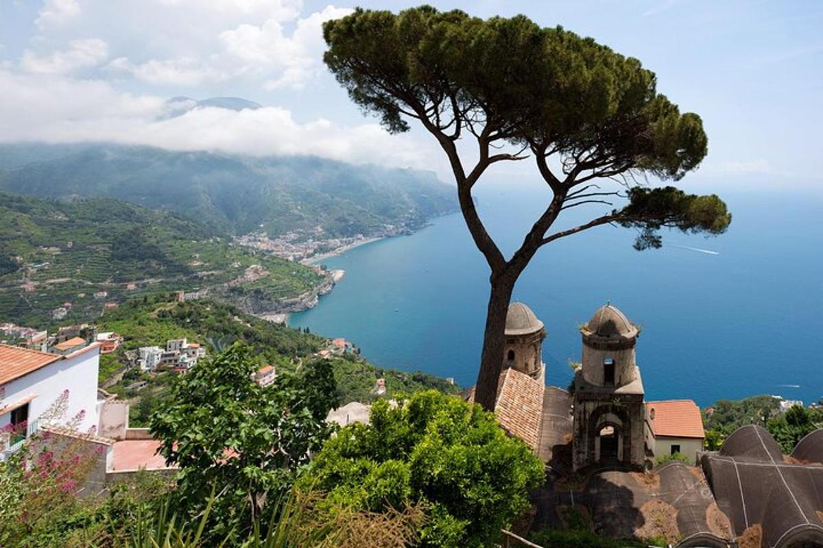a tree sitting on top of a hill next to a body of water