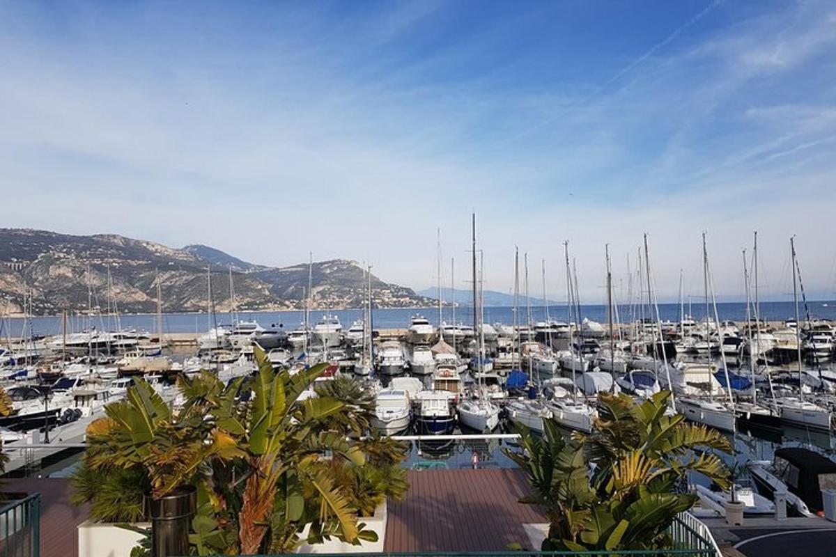 a bunch of boats parked in a marina