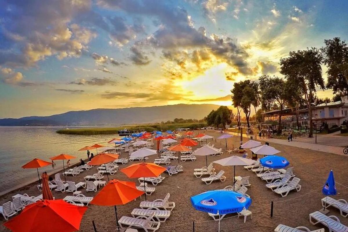 a group of umbrellas and chairs on a beach