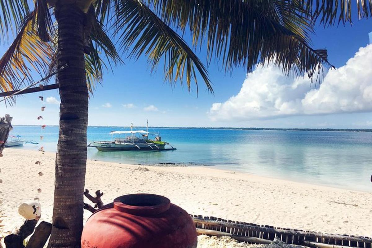 una spiaggia con una palma e una barca in acqua