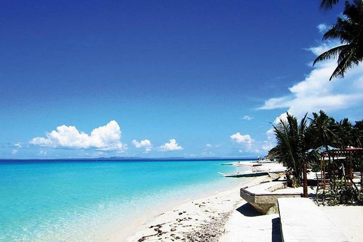 una spiaggia con acqua blu e palme