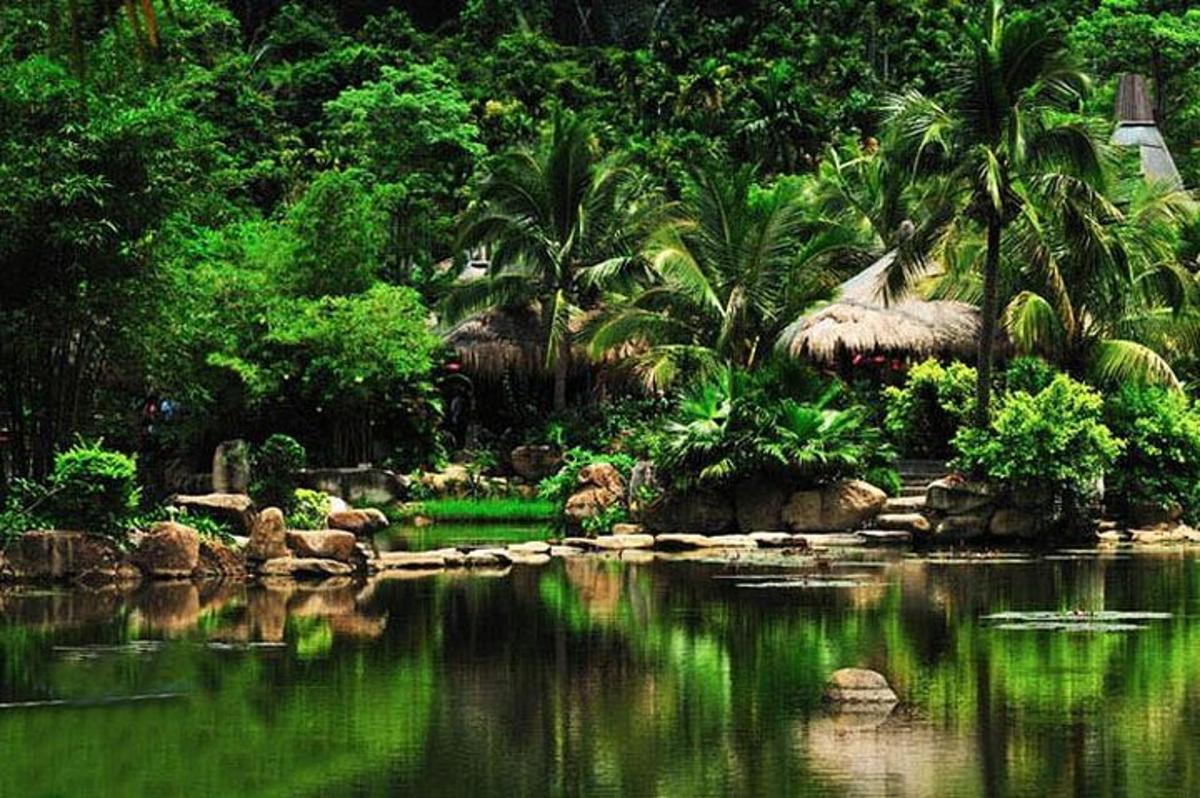 a body of water with palm trees and a forest