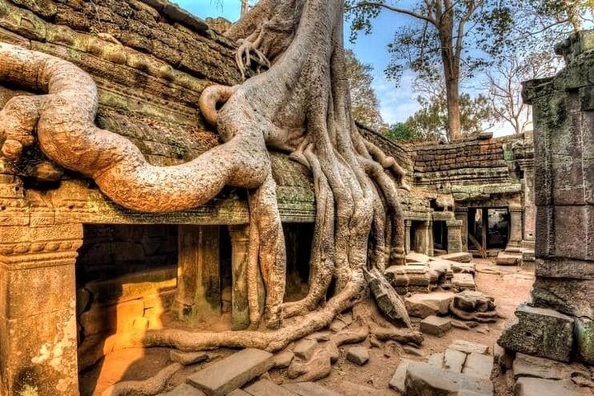 un edificio con radici di alberi su un lato