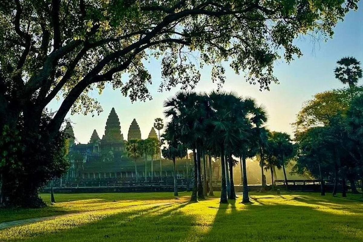 a park with palm trees in front of a building