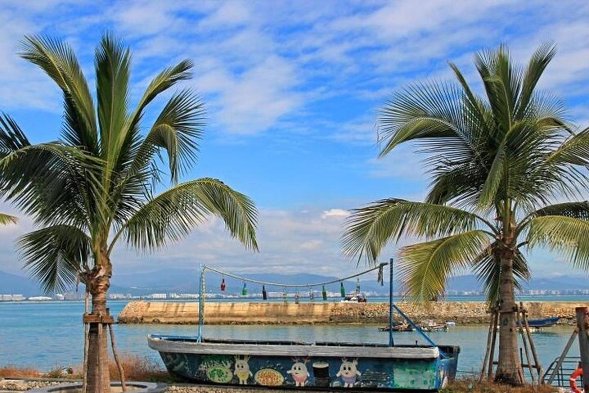 a boat on the beach with two palm trees