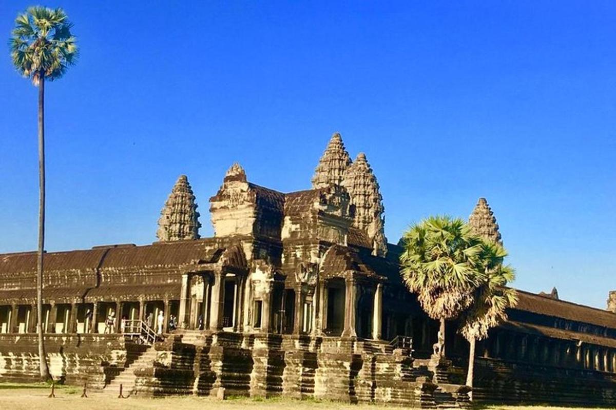 sebuah bangunan dengan pokok palma di hadapannya
