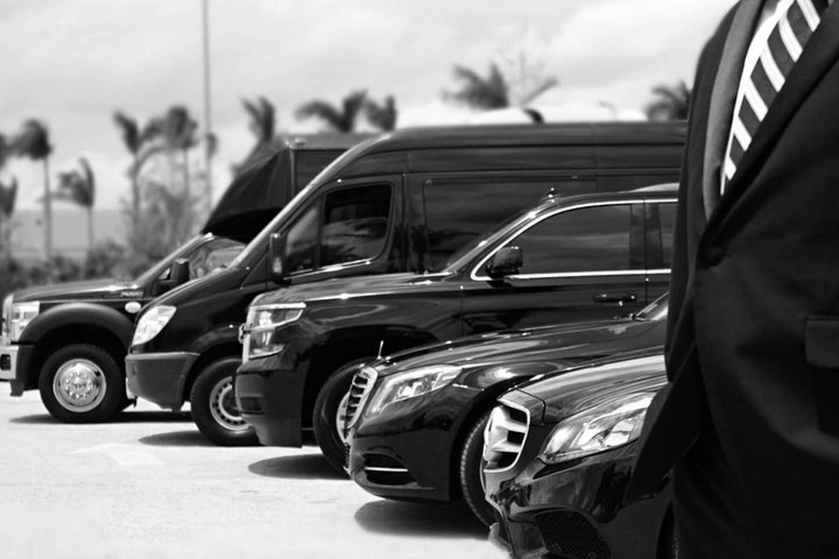 rivi pysäköityjä kuorma-autoja pysäköitynä pysäköintialueelle